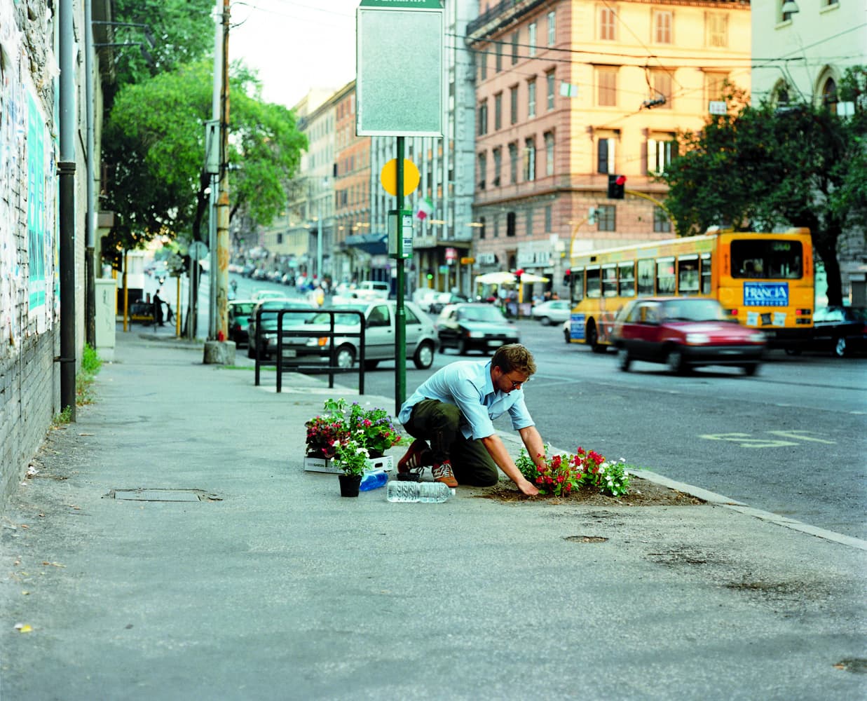 Photograph of a man, in dark pants and a blue button-down shirt with its sleeves rolled up, planting red and white flowers in a small dirt patch on a busy urban street.