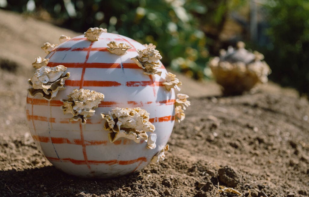 Photograph of a white sphere with a red-painted grid resting on dirt on a hillside. Mushrooms are sprouting from the sphere in rows. What appears to be a second sphere is in the background.