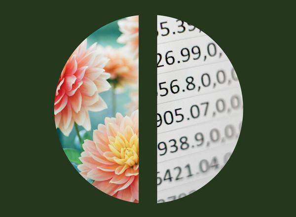 The Value of Design